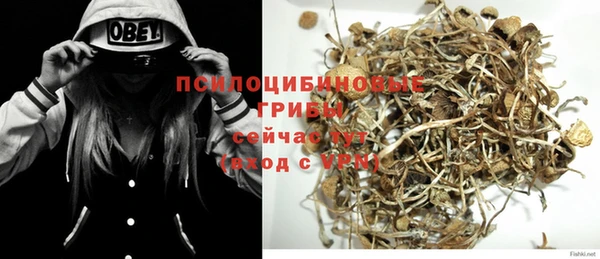 прущий лед Алексин