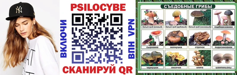 где купить наркотик  Болгар  Псилоцибиновые грибы Cubensis 